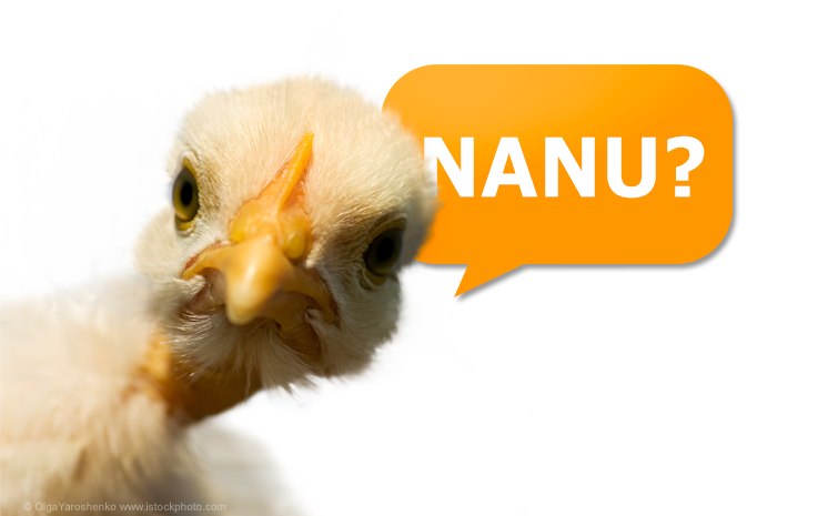 Nanu - da staunst du  - regional und lokal im Internet